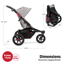 Load image into Gallery viewer, Radio Flyer Momentum Jogging Stroller, Infant Stroller with Quick Switch, 6+ Months, Gray
